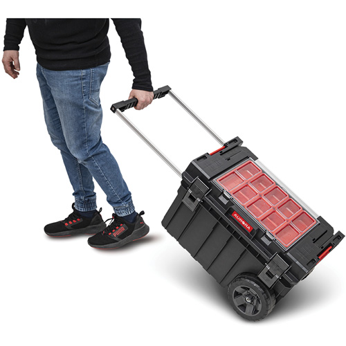 Coffre &agrave; outils roulant Arx, 23-4/5" x 16" x 15-3/5", Noir Haskins Industrial Inc.