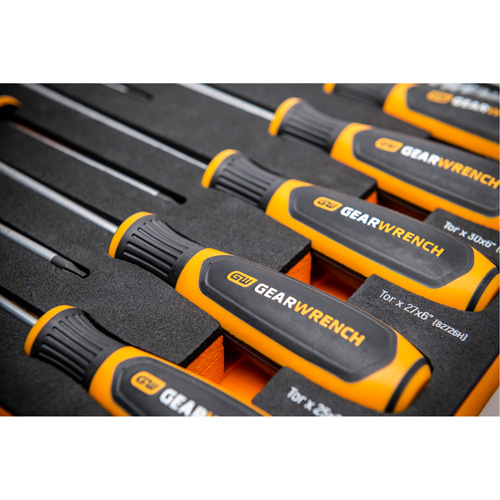 Torx&reg; Dual Material Screwdriver Set in Foam Storage Tray, 10 Pcs. Haskins Industrial Inc.