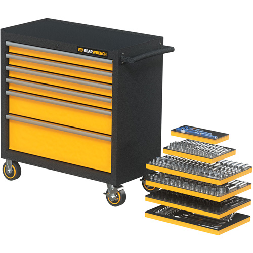 MEGAMOD Metric Mechanics Tool Set in Modular Foam Trays with Rolling Cabinet, 358 Pieces Haskins Industrial Inc.
