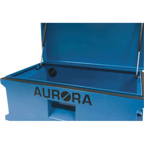 Coffre &agrave; outils de chantier, 33" x 20-3/10" x 18-3/10", Acier, Bleu Haskins Industrial Inc.