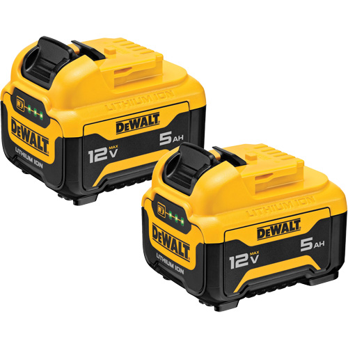 Bloc-piles Max*, Lithium-ion, 12 V, 5 Ah Haskins Industrial Inc.