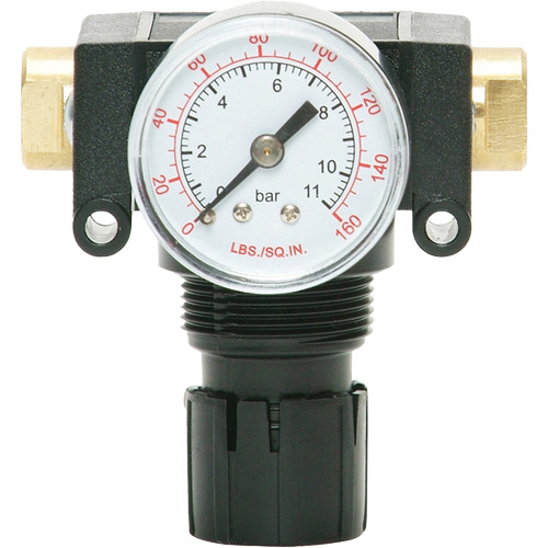 MODULAIR 200 Acetal Piston Regulator, 1/4" NPT, 150 PSI Max. PSI, In Line/Modular Haskins Industrial Inc.