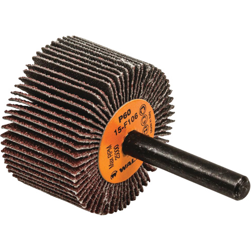 Disques &agrave; lamelles - Meules &agrave; lamelles Coolcut, Oxyde d'aluminium, Grain 60, 1-1/2" x 1" x 1/4" Haskins Industrial Inc.