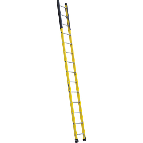 &eacute;chelle &eacute;troite pour trou d'homme, 14', Fibre de verre, 375 lb, CSA calibre 1AA Haskins Industrial Inc.