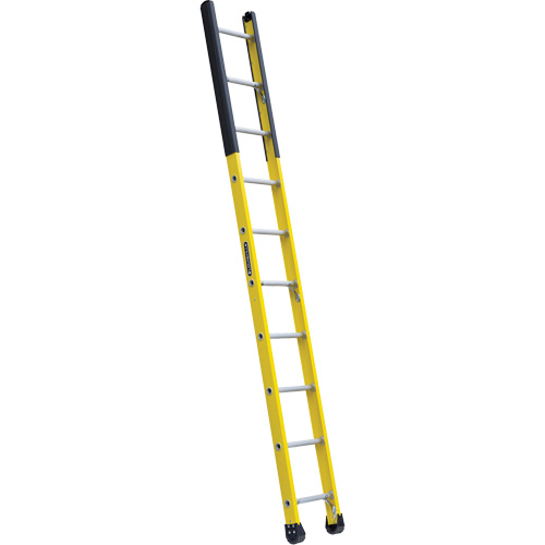 Single Manhole Ladder, 10', Fibreglass, 375 lbs., CSA Grade 1AA Haskins Industrial Inc.