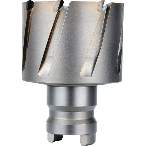 Fraise avec tenon &agrave; changement rapide Drive Hawg, Diam&egrave;tre de 2", Acier, Profondeur de la coupe de 1" Haskins Industrial Inc.