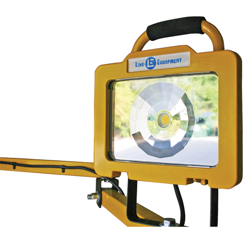 Heavy-Duty Dock Light, 40" Arm, 38 W, LED Lamp, Metal Haskins Industrial Inc.