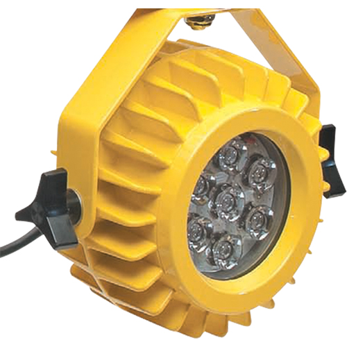 Lampe robuste DEL pour les quais - t&ecirc;te seulement Haskins Industrial Inc.