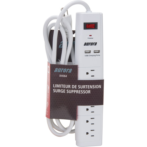 Limiteur de surtension avec chargeur USB, 6 Prises, 1200 J, 1875 W, Cordon 6' Haskins Industrial Inc.