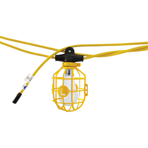 Guirlande &eacute;lectrique &agrave; DEL avec connecteur, 10 Lumi&egrave;res, 100' lo, Boîtier en Plastique Haskins Industrial Inc.