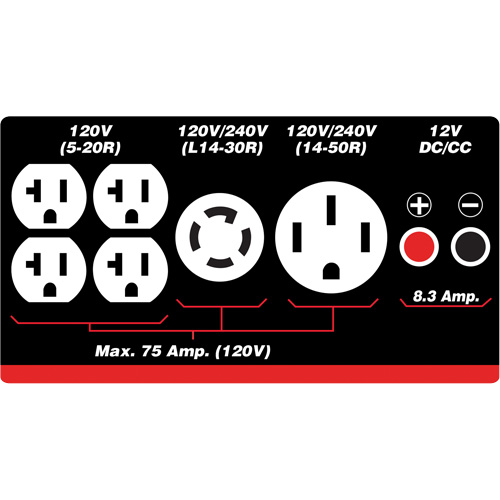 G&eacute;n&eacute;ratrice &agrave; essence/propane &agrave; d&eacute;marreur &eacute;lectrique Haskins Industrial Inc.