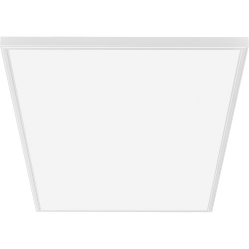 Panneau d'&eacute;clairage plat &agrave; intensit&eacute; commutable Contractor Select CPANL Haskins Industrial Inc.