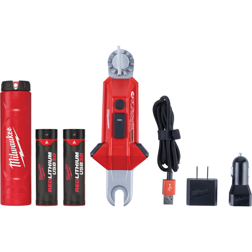 Lampe USB polyvalente REDLITHIUM pour perche isolante, DEL, Piles Rechargeable, Aluminium Haskins Industrial Inc.