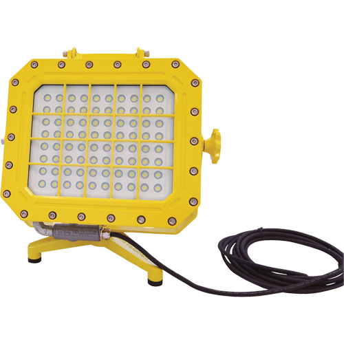 Explosion Proof Floodlight with Floor Stand, LED, 40 W, 5600 Lumens, Aluminum Housing Haskins Industrial Inc.