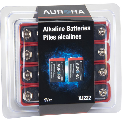 Industrial Alkaline Batteries, 9 V Haskins Industrial Inc.
