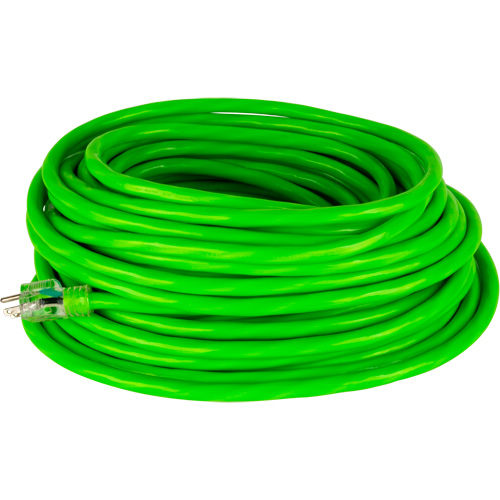Industrial Extension Cord, All-Weather, SJTW, 10/3 AWG, 15 A, 100' Haskins Industrial Inc.
