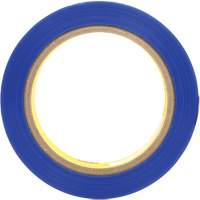 Polyester Tape 8901, 25.4 mm (1") x 66 m (216'), Blue Haskins Industrial Inc.