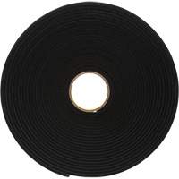 4504 Vinyl Foam Tape, 25.4 mm (1") W x 16.5 m (54') L, 250 mils, Black Haskins Industrial Inc.