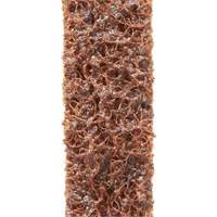 Scotch-Brite Surface Conditioning File Belts Haskins Industrial Inc.