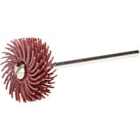 Scotch-Brite Radial Bristle Discs, P220X Grit, 3/4" Dia. Haskins Industrial Inc.