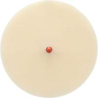 Scotch-Brite Moulding Adhesive and Stripe Removal Disc 7502, 6" Dia. Haskins Industrial Inc.