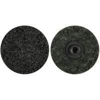 Non-Woven Quick-Change Discs, 2" Dia., Extra Coarse Grit, Aluminum Oxide Haskins Industrial Inc.