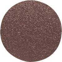 Disque de ponçage pour le bois, 12" dia., Grain 60 Haskins Industrial Inc.