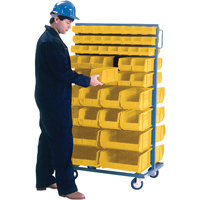 Double-Sided Mobile Bin Rack, Double-sided, 96 bins, 36" W x 24" D x 63" H Haskins Industrial Inc.