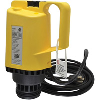 Drum Pump Motor Haskins Industrial Inc.