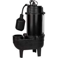 Cast Iron Sewage Pump, 120 V, 10 A, 6400 GPH, 3/4 HP Haskins Industrial Inc.