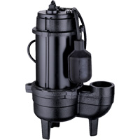 Cast Iron Sewage Pump, 120 V, 10 A, 6400 GPH, 3/4 HP Haskins Industrial Inc.