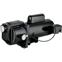 Dual Voltage Cast Iron Shallow Well Jet Pump, 115 V/230 V, 1260 GPH, 1 HP Haskins Industrial Inc.