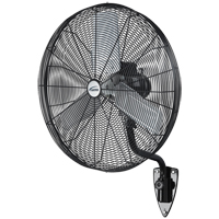Oscillating Wall Fan, Heavy-Duty, 30" Dia., 3 Speeds Haskins Industrial Inc.