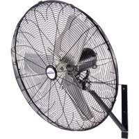 Waterproof Motor Misting & Oscillating Pedestal Fan, Industrial, 30" Dia., 3 Speeds Haskins Industrial Inc.