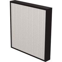 AeraMax&reg; Pro AM3 & AM4 2" True HEPA Filter, Box, 13.75" W x 2.25" D x 14.38" H Haskins Industrial Inc.