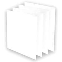 AeraMax&reg; Pro AM3 or AM4 Pre-Filters, 13.75" W x 0.13" D x 14.38" H Haskins Industrial Inc.