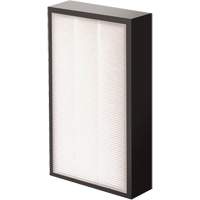 AeraMax&reg; Pro AM2 1-3/4" True HEPA Filter, Box, 7.38" W x 1.88" D x 12.88" H Haskins Industrial Inc.