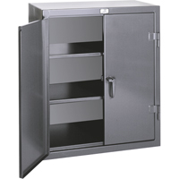 Armoires de rangement hauteur comptoir, Acier, 2 Tablettes, 36" h x 36" la x 20" P, Gris Haskins Industrial Inc.