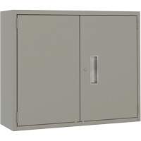 Armoire murale, Acier, 2 Tablettes, 30" h x 36" la x 12" P, Gris Haskins Industrial Inc.