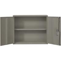 Armoire murale, Acier, 2 Tablettes, 30" h x 36" la x 12" P, Gris Haskins Industrial Inc.