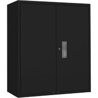 Armoire de rangement Lo-Boy, Acier, 2 Tablettes, 42" h x 36" la x 18" P, Noir Haskins Industrial Inc.
