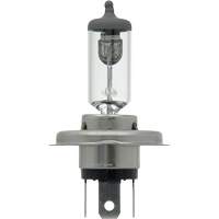 9003 Basic Headlight Bulb, Halogen, 61 W/67 W, Off White Haskins Industrial Inc.
