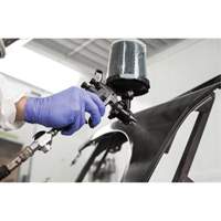 Performance Fine Finish Spray Gun System with PPS Cups, 13 CFM, 29 PSI Haskins Industrial Inc.