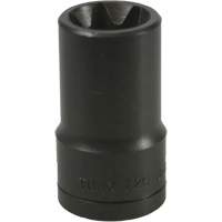 Douille Torx&reg; E-20 Haskins Industrial Inc.