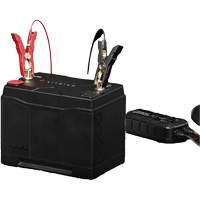 Batterie au lithium &agrave; double usage de groupe 27, 100Ah Haskins Industrial Inc.