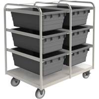 Mobile Tub Rack, Double-sided, 6 bins, 26" W x 36" D x 42" H Haskins Industrial Inc.