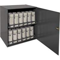 Armoire de rangement pour contenants a&eacute;rosol, Acier, 21-7/8" h x 15-15/16" la x 20-5/16" P, Gris Haskins Industrial Inc.