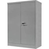 Counter-High Storage Cabinet, Steel, 2 Shelves, 42" H x 48" W x 24" D, Grey Haskins Industrial Inc.