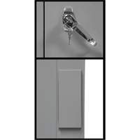 Counter-High Storage Cabinet, Steel, 2 Shelves, 42" H x 48" W x 24" D, Grey Haskins Industrial Inc.