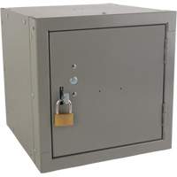 Casier cubique empilable, 12" x 12" x 12", Acier, Gris, D&eacute;mont&eacute; Haskins Industrial Inc.